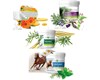 Ingrediente active