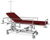 Targa pentru transportul pacientilor JWZ 01.