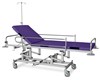 Targa pentru transportul pacientilor JWZ 01.
